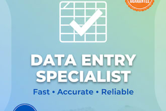 do excel data entry
