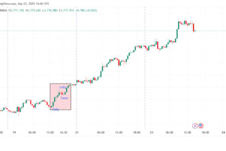 teach you about crypto exchange and crypto trading