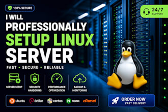 professionally setup linux server