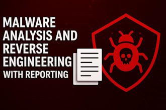 do malware analysis, reverse engineering with reporting