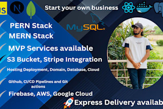 build professional pern and mern stack website application, website development