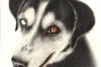 turn Photo into Soft Colour Pencil Drawing