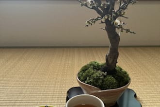 take authentic japanese lifestyle and home photos