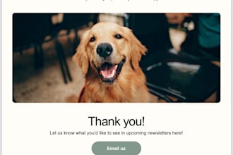 create a responsive email template