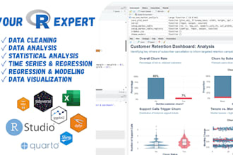 do r coding and programming for projects task, using rstudio in 24 hour