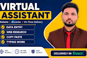 be your data entry web research assistant, data input excel
