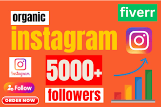 grow your facebook tiktok instagram followers