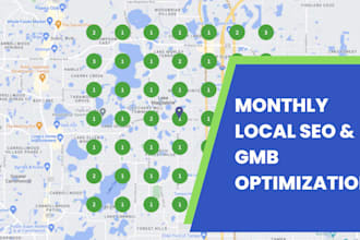 monthly local SEO with GEO and aio for google maps ranking