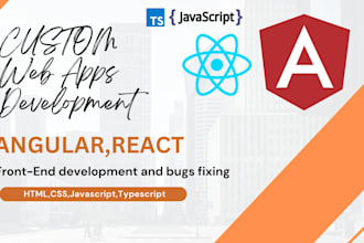 develop angular and react application