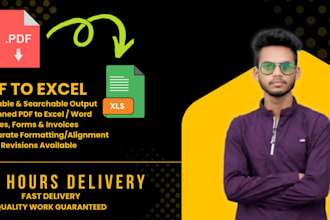 professionally convert PDF to editable excel spreadsheet