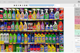 do professional image annotation and labeling
