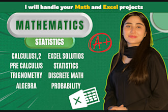 do mathematics, statistics and excel projects perfectly