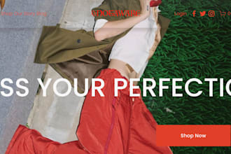 design and develop fashion n art websites, clothing store