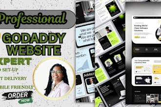 professional godaddy website for your business