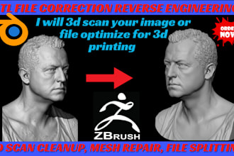 redesign 3d stl file, repair stl file scan up, convert obj file for printing