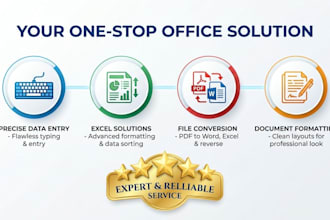 do professional ms office work data entry and documents