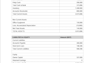 quickbooks bookkeeping, balance sheet and fix errors