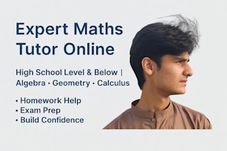be your expert high school maths tutor upto calculus
