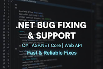provide dotnet bug fixing and support
