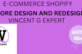 build a professional shopify dropshipping store