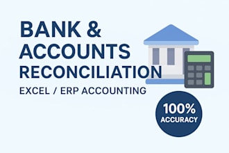 do expert bank reconciliation and financial data entry in excel