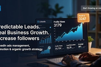 run linkedin marketing business promotion, advertising ads campaign, followers