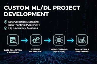 ml dl model training, research, and thesis assistance