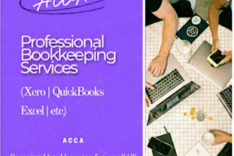 provide expert bookkeeping and bank reconciliation in xero and quickbooks