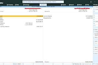 do basic accounting and bookkeeping in excel and tally