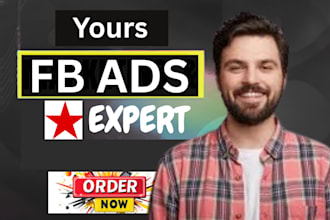 be your expert fb ads campaign