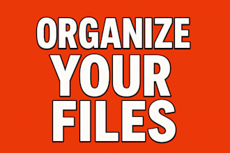build a one click windows PC file organizer for automatic cleanup