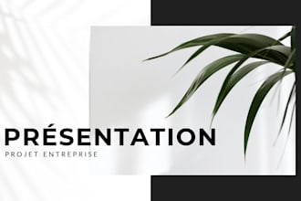 create powerpoint presentation for all domains