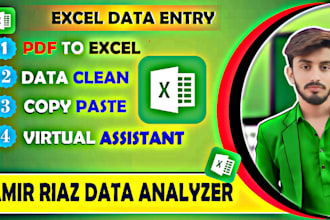 be your excel expert for data entry, data cleaning, formulas, and automation