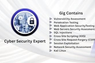 do vulnerability assessment and penetration testing