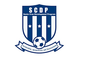make surprising crests logo for a soccer development academy