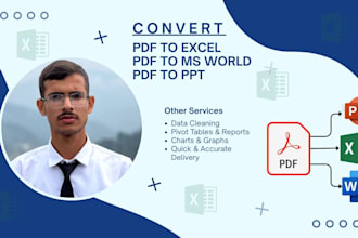 convert PDF to excel, ms world, PPT, file conversion