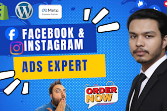 manage facebook and instagram ads for sales