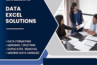 be your professional data cleaner and formatter for analysis