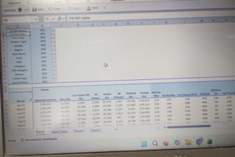 do professional excel data entry, formulas, mis and formatting