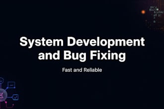 system development and bug fixing