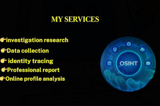 perform osint investigation background check and people search professionally
