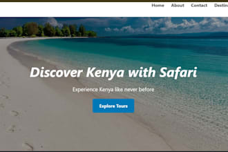 build a clean proffessional , website for your business