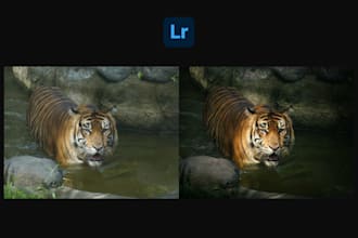 color grade and color correct your photos in a day