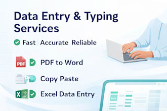 do accurate excel data entry and spreadsheet work