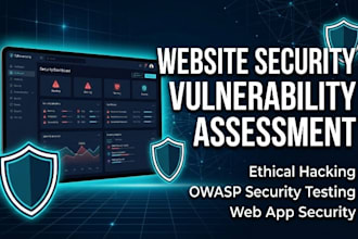 perform web application penetration testing and vulnerability assessment