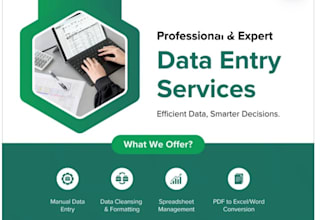 do fast and accurate data entry, excel work, copy paste,