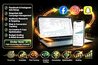 setup facebook ads snapchat ads campaign instagram ads fb ads marketing manager