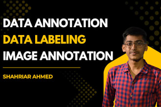 do data annotation, image annotation, and data labeling for ai models