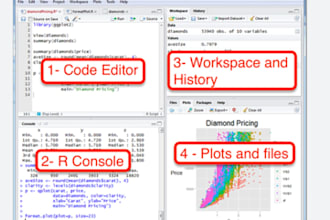 do statistical data analysis, coding in r studio, r programming, spss, excel