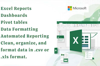 be your microsoft excel expert for data formatting and analysis
